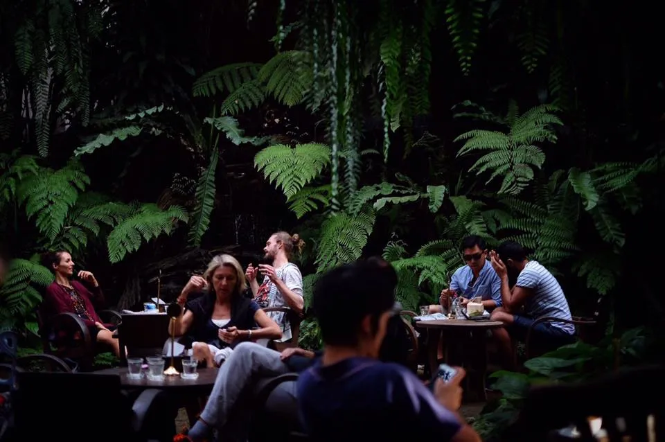 Fern Forest Cafe, Chiang Mai