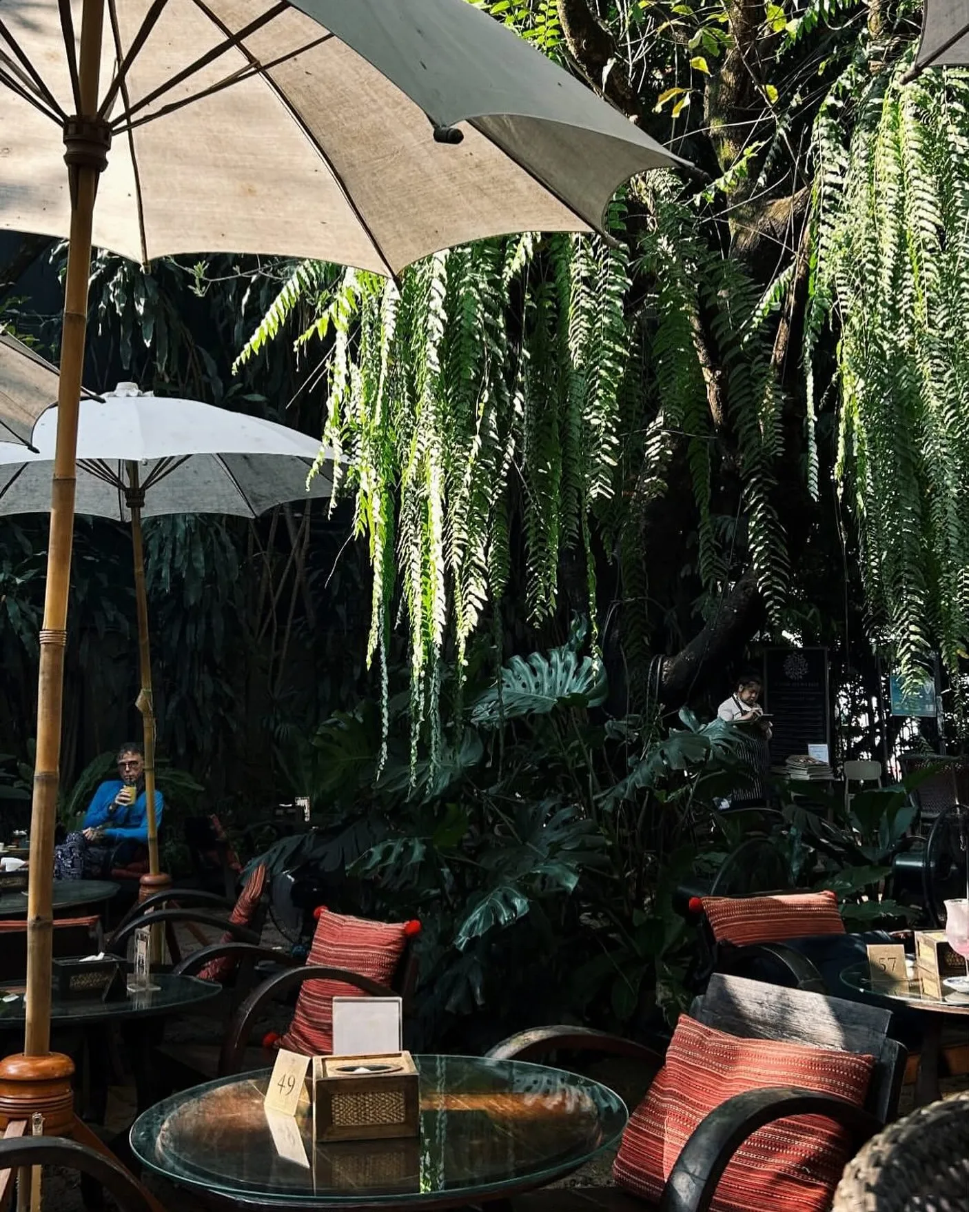 Fern Forest Cafe, Chiang Mai