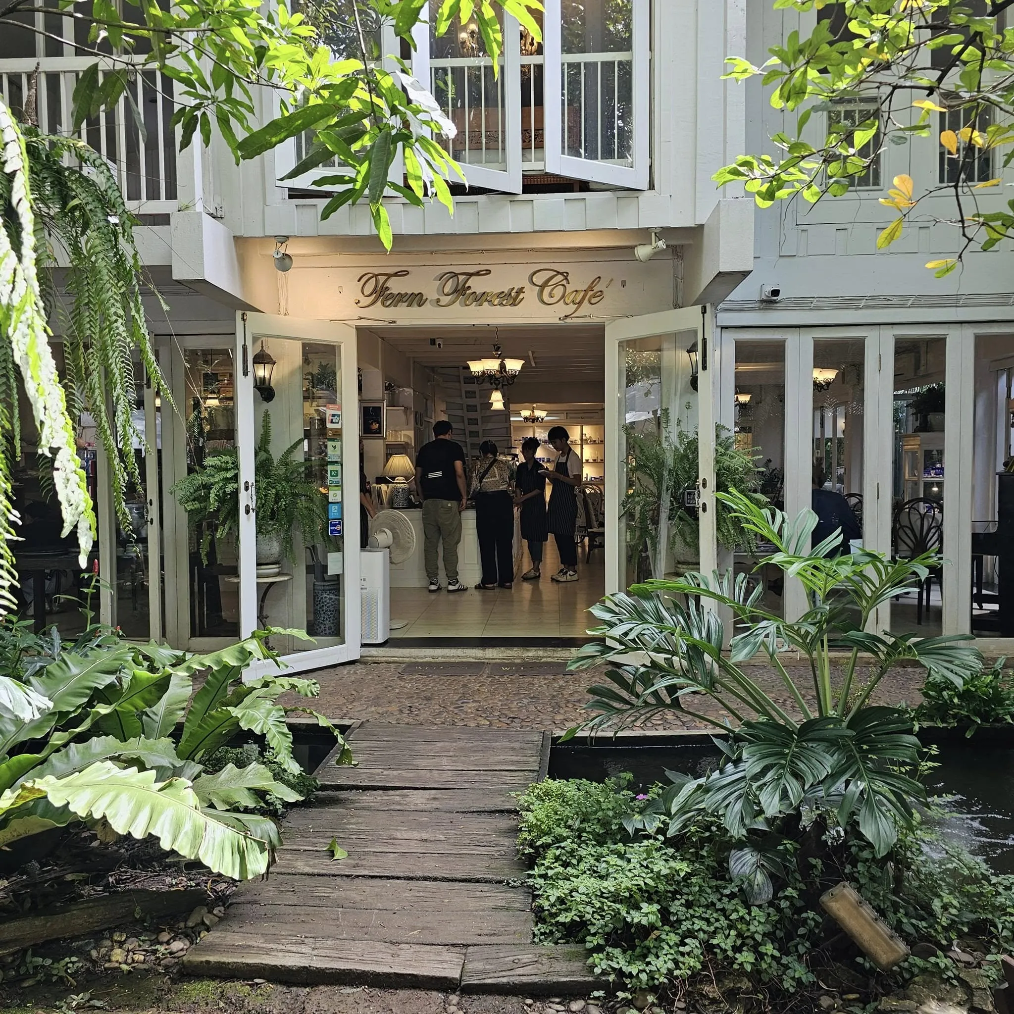 Fern Forest Cafe, Chiang Mai